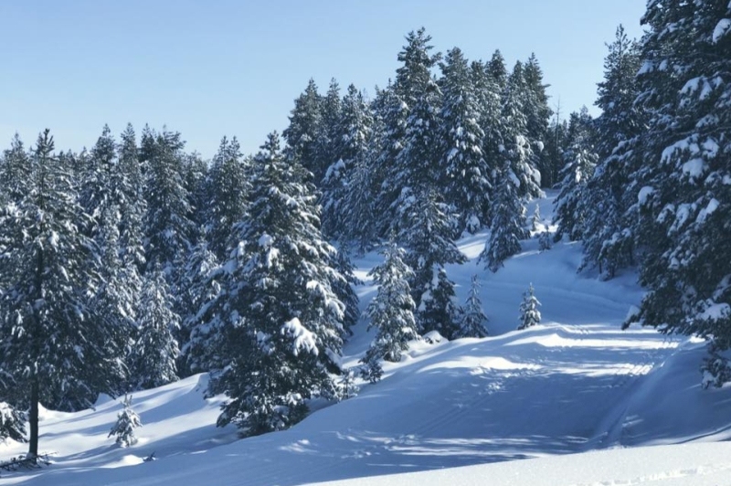 Estació dEsquí Tuixent - La Vansa (Estacio D Esqui Tuixent La Vansa)