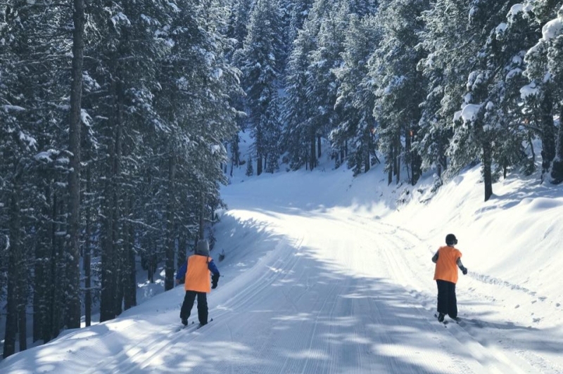 Estació dEsquí Tuixent - La Vansa (Estacio D Esqui Tuixent La Vansa)