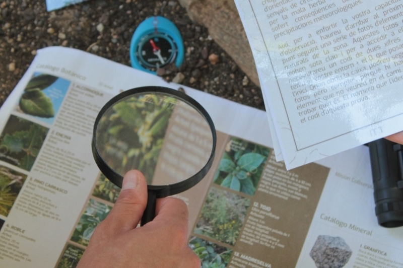 Artemis Gymkhanas Barcelona (Artemis Gymkhanas Barcelona)