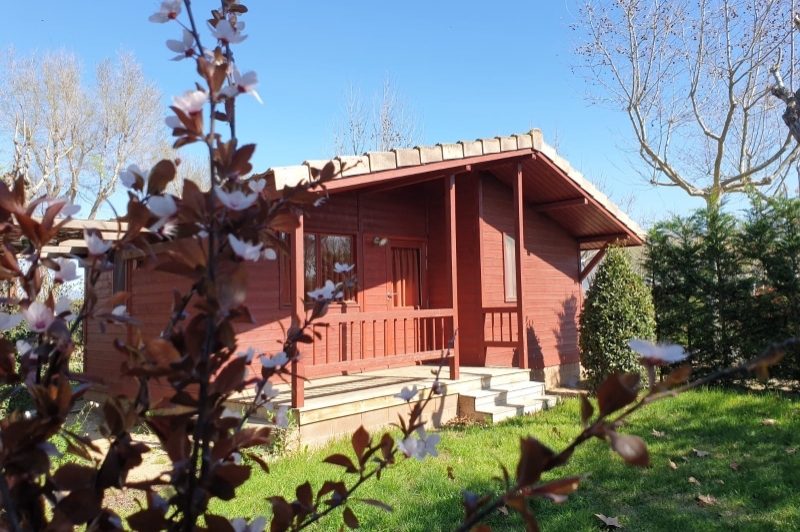 Càmping Mas Nou (Camping Mas Nou)