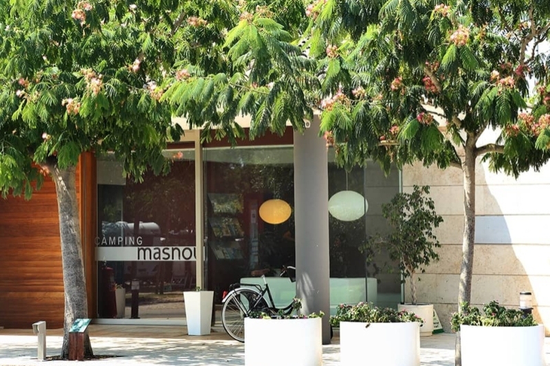 Càmping Mas Nou (Camping Mas Nou)