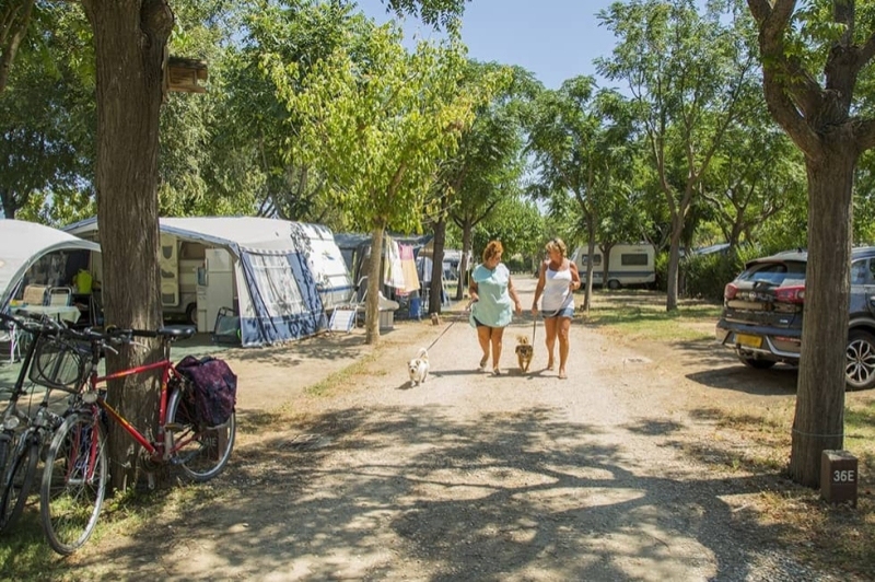 Càmping Mas Nou (Camping Mas Nou)