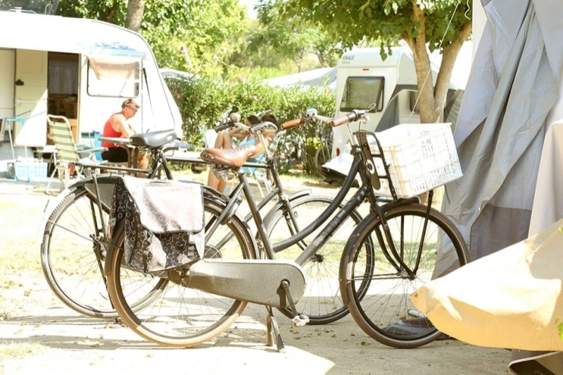 Càmping Mas Nou (Camping Mas Nou)