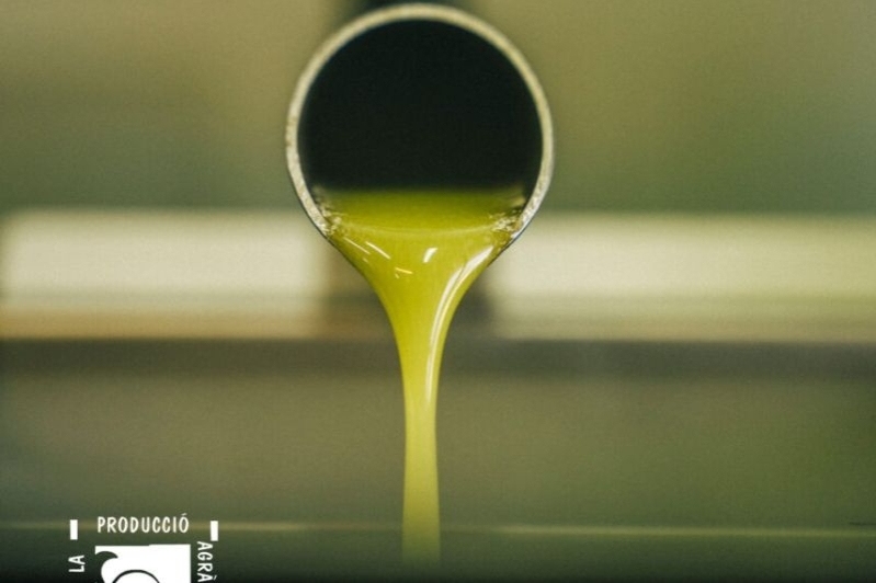 Oli Fontclara (Oli Fontclara)