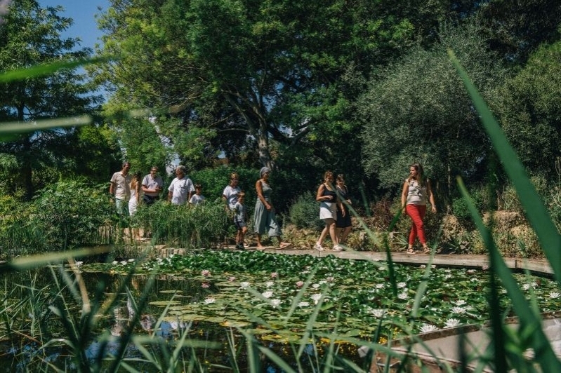 Oli Fontclara (Oli Fontclara)