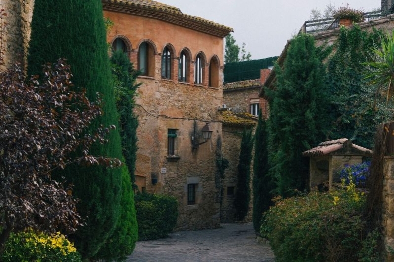 Oli Fontclara (Oli Fontclara)