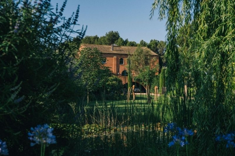 Oli Fontclara (Oli Fontclara)