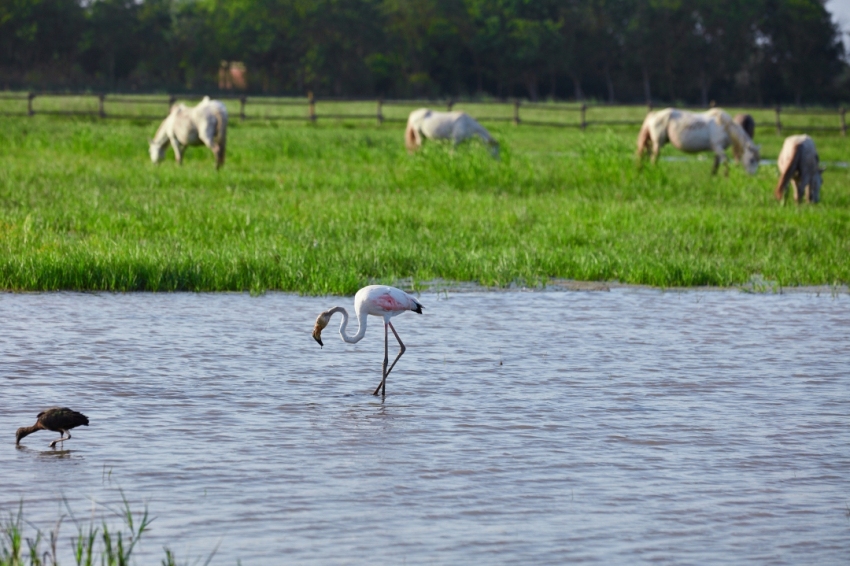 Càmping Nautic Almata (Camping Nautic Almata)