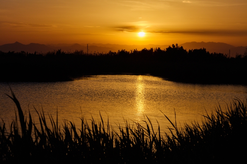 Càmping Nautic Almata (Camping Nautic Almata)