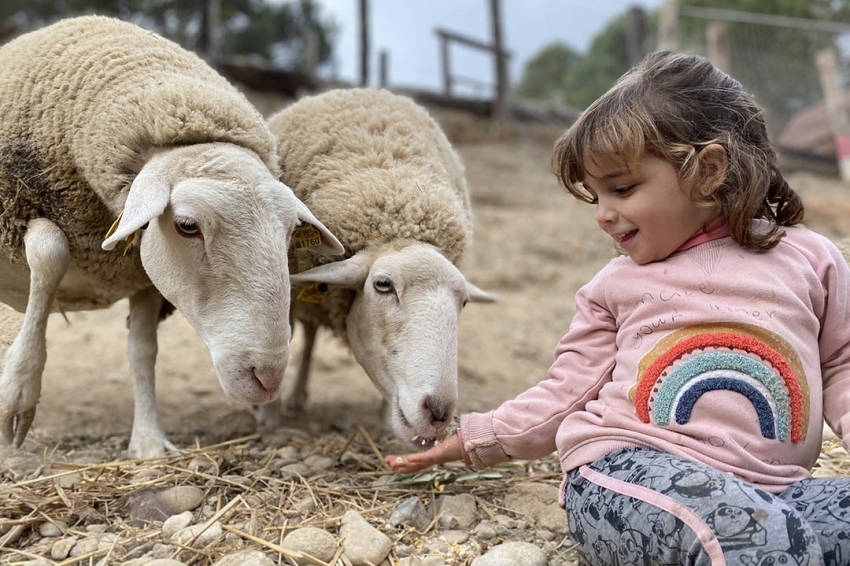 Granja Aventura Park (Granja_Aventura_Park)