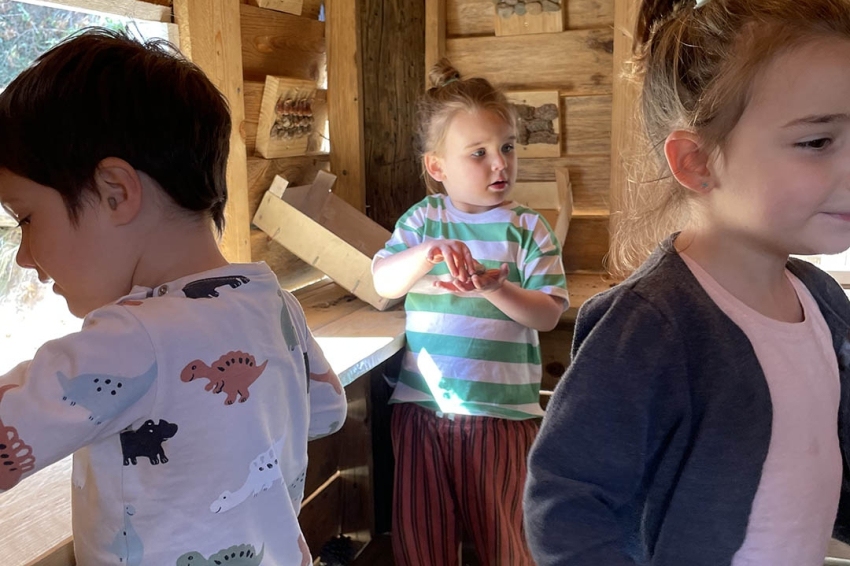 Granja Aventura Park (Granja_Aventura_Park)