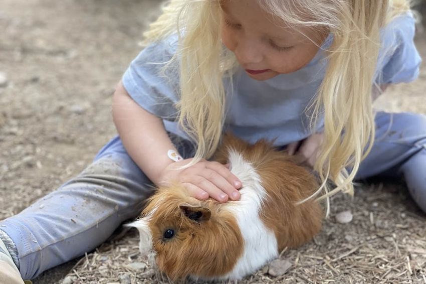 Granja Aventura Park (Granja_Aventura_Park)