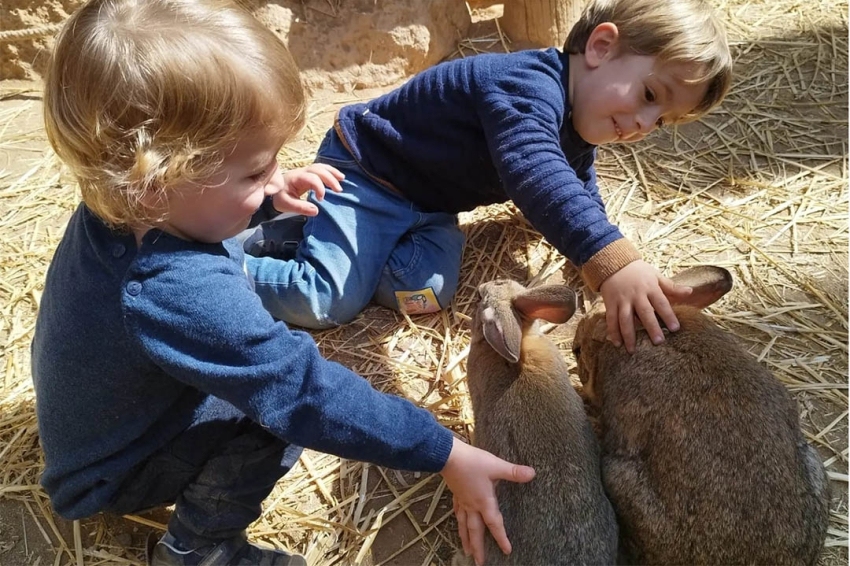 Granja Aventura Park (Granja_Aventura_Park)