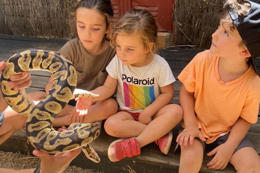 Granja Aventura Park (Granja_Aventura_Park)