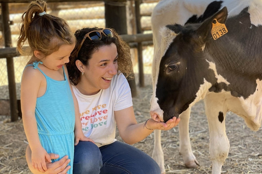 Granja Aventura Park (Granja_Aventura_Park)