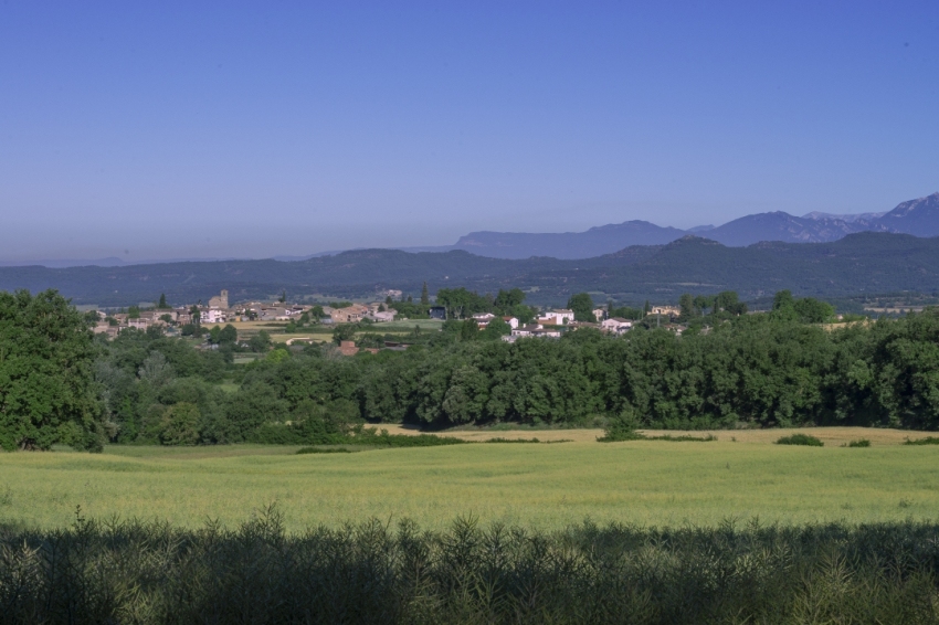 Turisme Lluçanès (Perafita_juny_7)