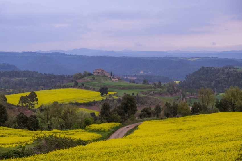 Turisme Lluçanès (TERRITORI 49)