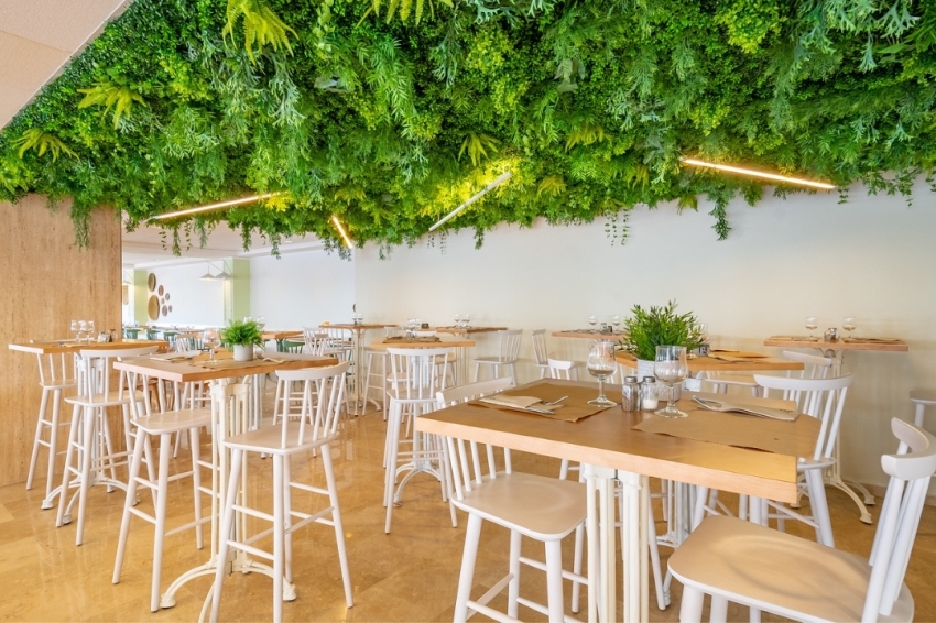 Hotel Cala Font (Otel_cala_font)