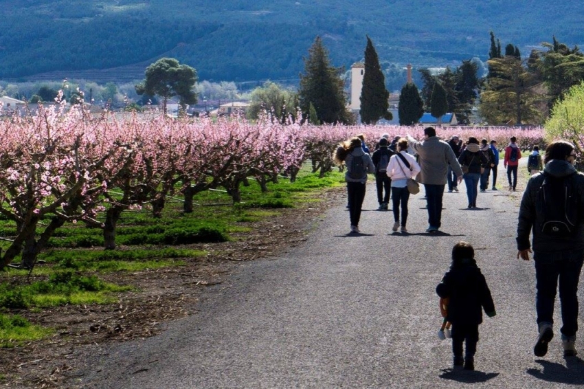 Tarvitur Visites Guiades (Arvitur)