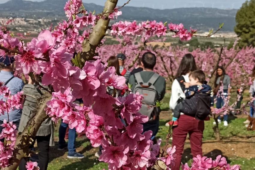Tarvitur Visites Guiades (Arvitur)