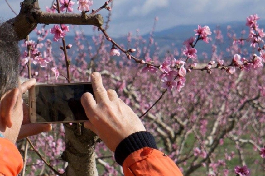 Tarvitur Visites Guiades (9 Tarvitur)