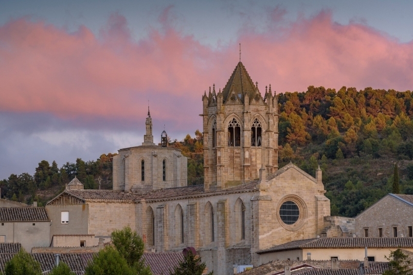 Reial Monestir de Santa Maria de Vallbona (Santa Maria De Vallbona Vista Cel Rogent)