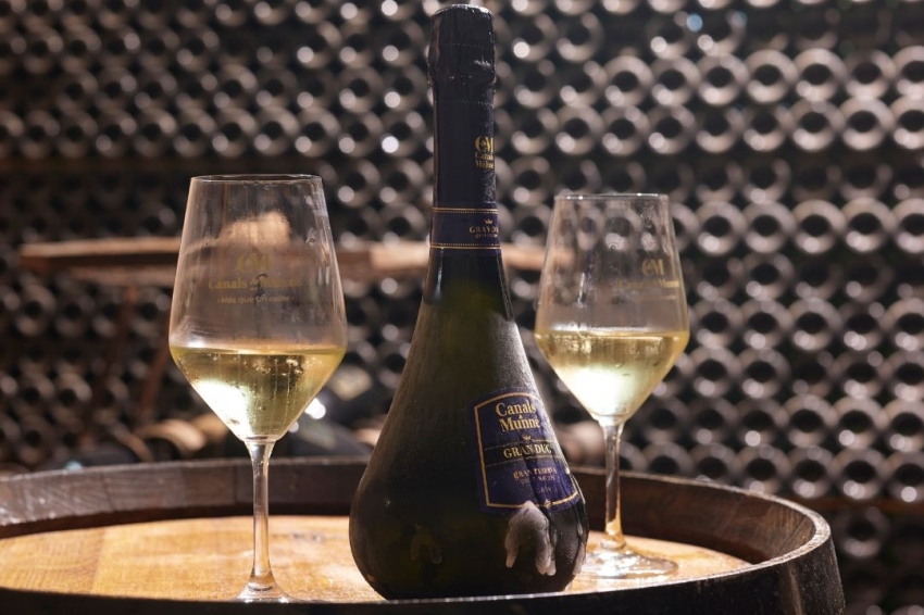 Celler Canals i Munne (Canals_munne)