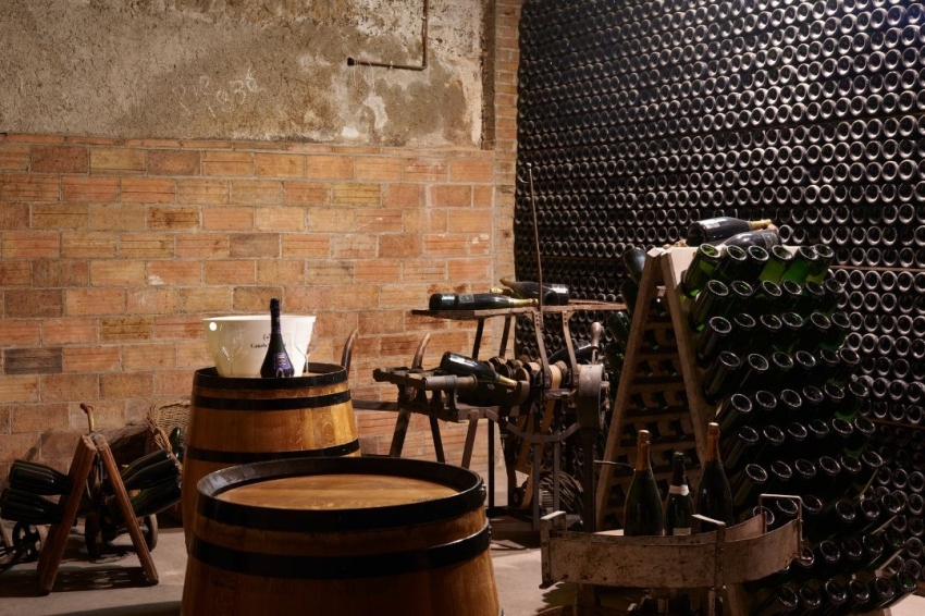 Celler Canals i Munne (Canals_munne)