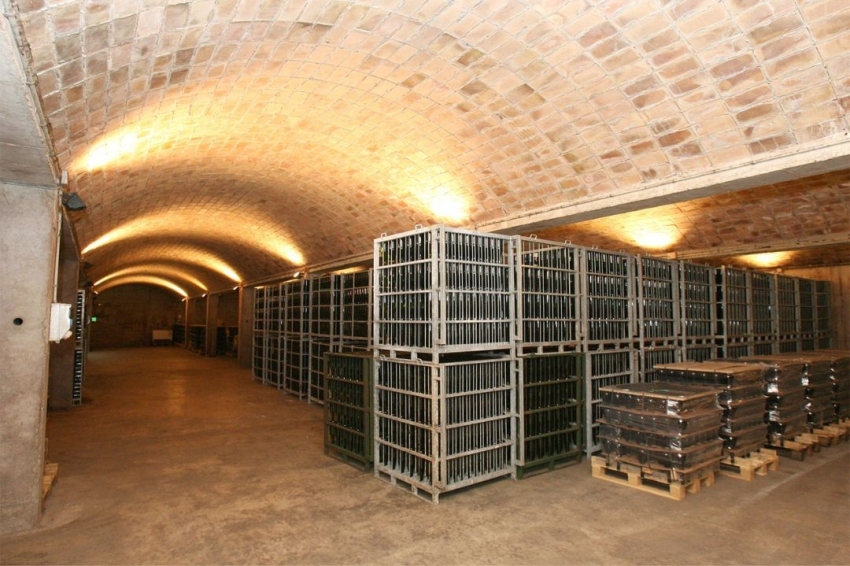 Celler Canals i Munne (Canals_munne)