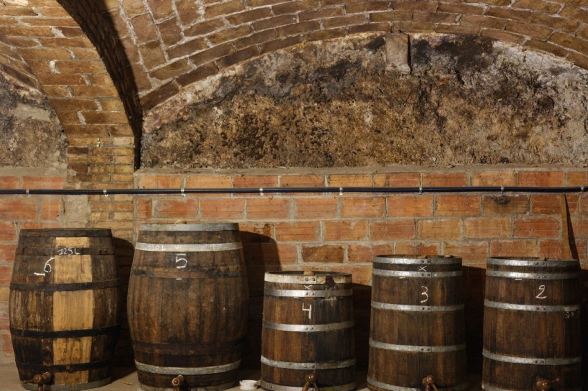 Celler Canals i Munne (Canals_munne)