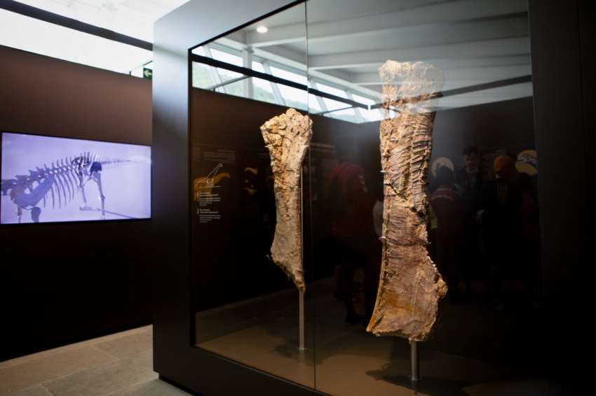 Centre dinterpretació Dinosaures Fumanya (4Centre_Interpretacio_Dinosaures_Fumanya)