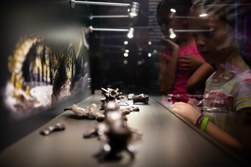 Centre dinterpretació Dinosaures Fumanya (6Centre_Interpretacio_Dinosaures_Fumanya)