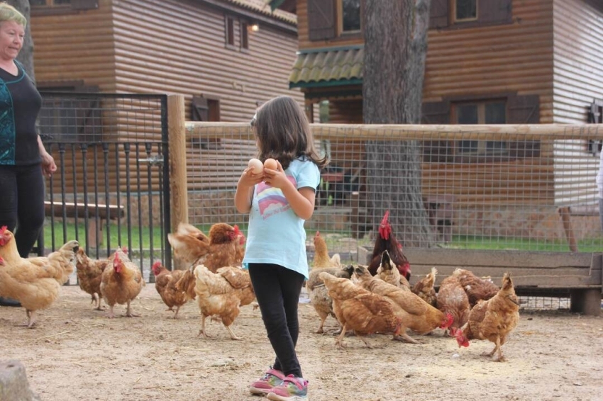 Hotel rural - Xalet de Prades (Xalet De Prades)