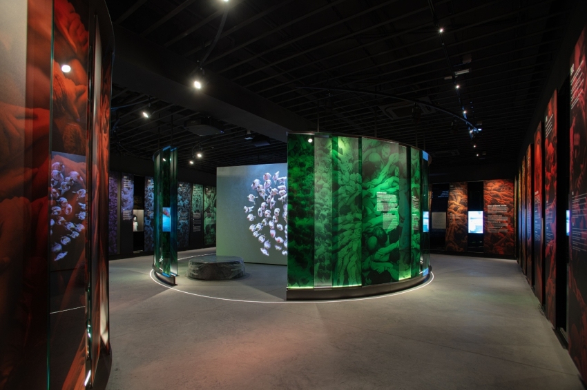 Mon Casteller- Museu Casteller de Catalunya