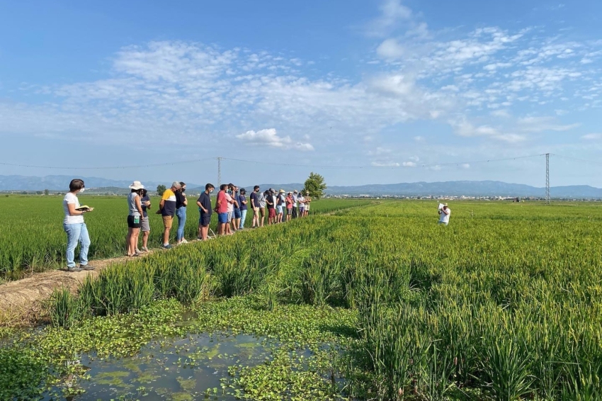Kensho, Mediterranean Kura