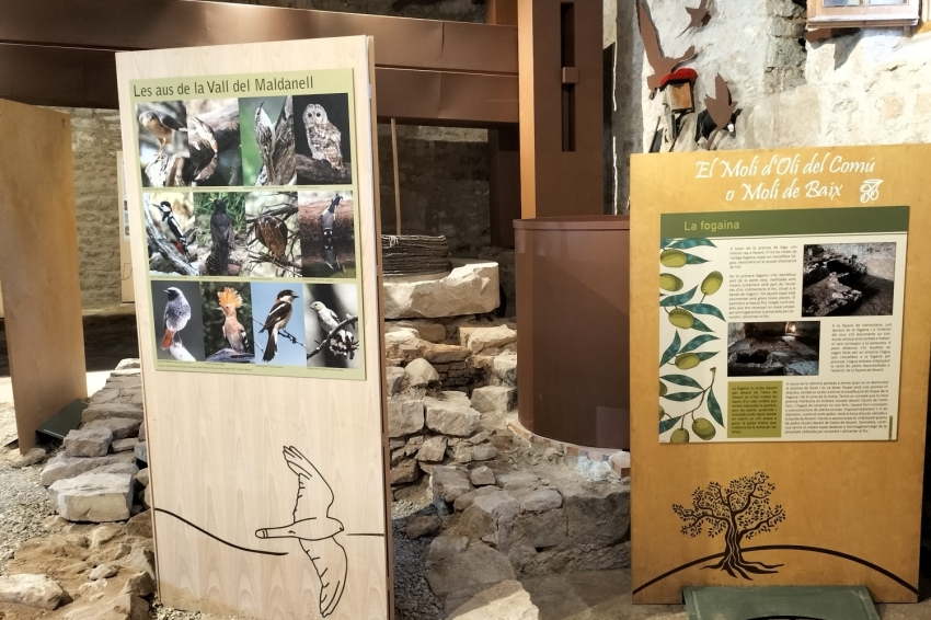 Espai Maldanell (Espai Maldanell)