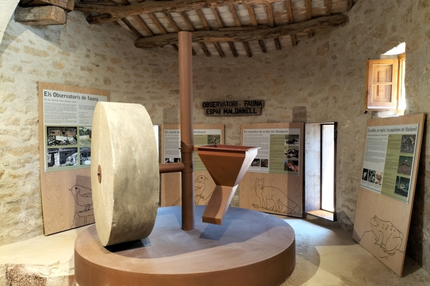 Espai Maldanell (Espai Maldanell)