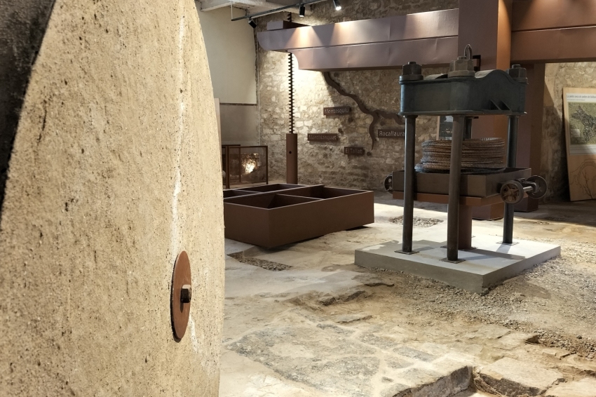 Espai Maldanell (Moli)