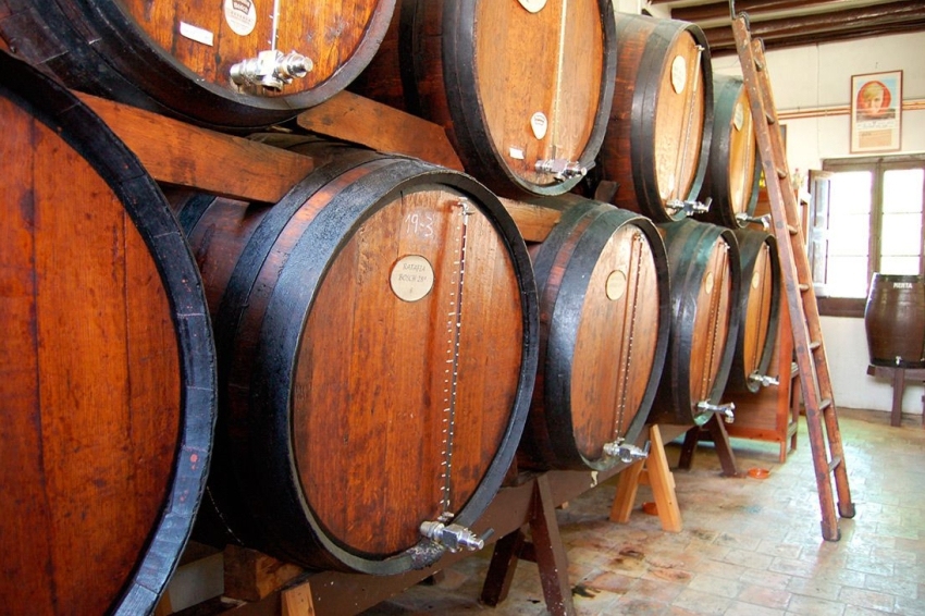 Ratafia Bosch (Ratafia Bosch)