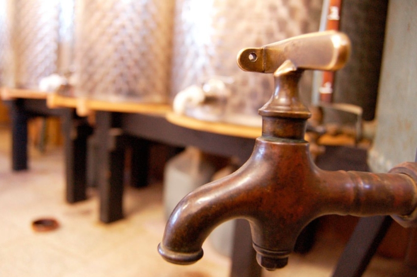 Ratafia Bosch (Ratafia Bosch)