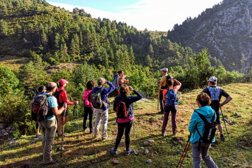 Penyes Altes Outdoor Services (Penyes Altes Outdoor)