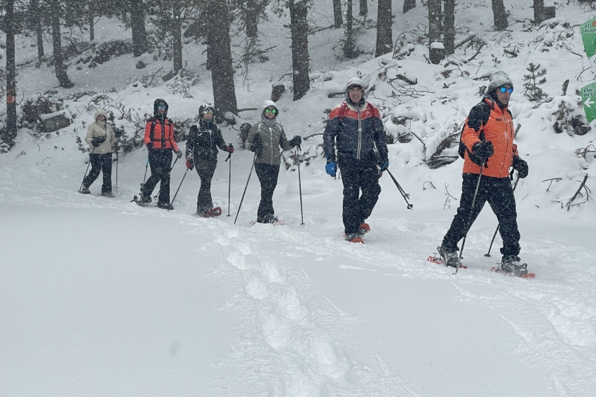 Penyes Altes Outdoor Services (Penyes Altes Outdoor)