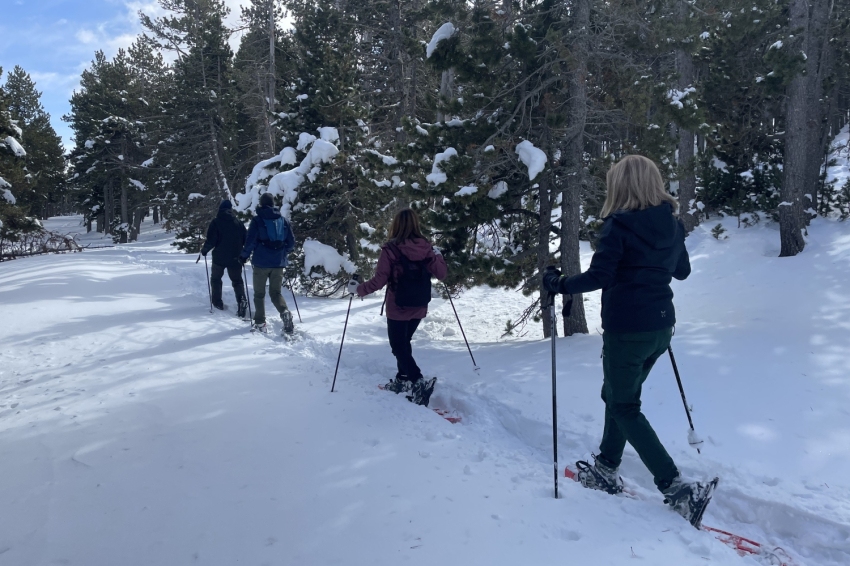 Penyes Altes Outdoor Services (Penyes Altes Outdoor)