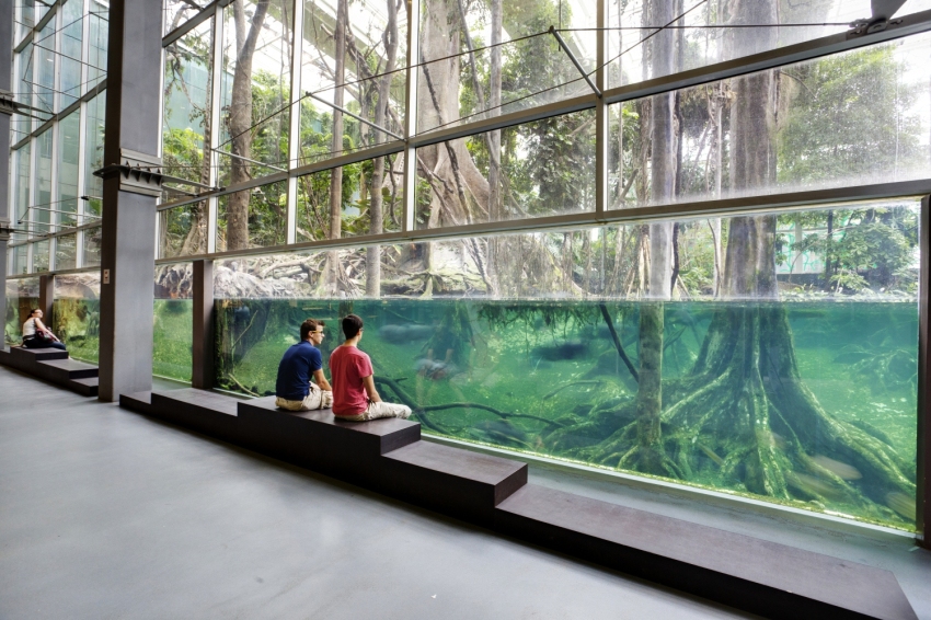 Museu de la Ciència CosmoCaixa (Fundacio La Caixa Museu De La Ciencia Cosmocaixa)