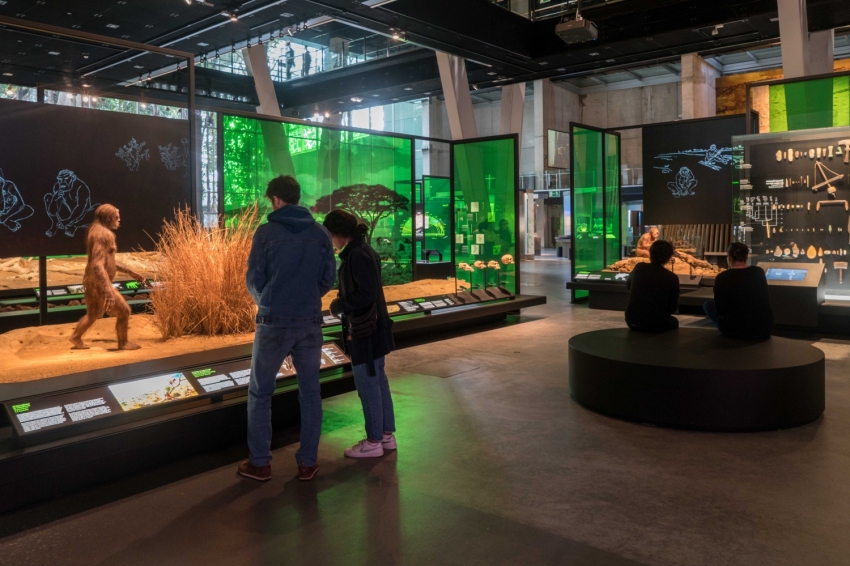 Museu de la Ciència CosmoCaixa (Fundacio La Caixa Museu De La Ciencia Cosmocaixa)