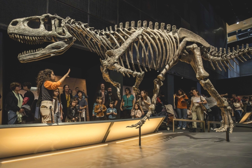 Museu de la Ciència CosmoCaixa (Fundacio La Caixa Museu De La Ciencia Cosmocaixa)