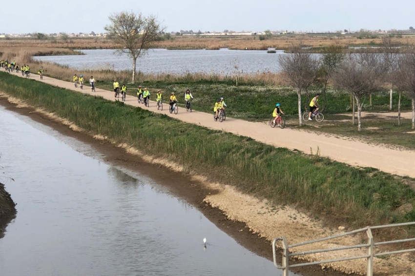 Lloguer de bicicletes 4 camins (4 Camins)