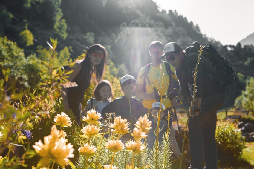 Parc Natural Vall de Sorteny (Estanyo 4 Jardi Botanic)
