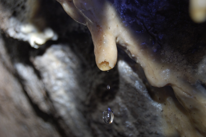 Mina de petroli dels Francesos de Riutort (Mina De Petroli Dels Francesos De Riutort)