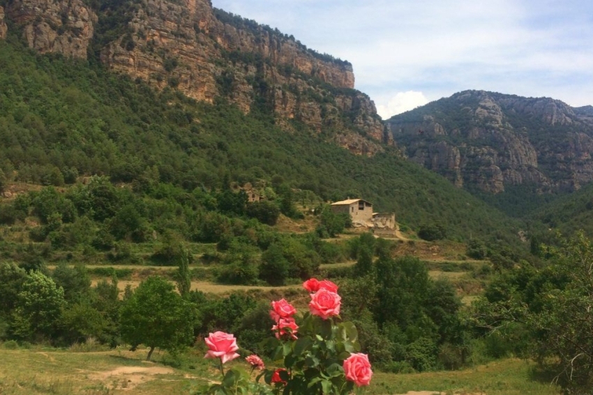 Alberg La Rectoria de la Selva, Fundesplai (Alberg La Rectoria De La Selva Fundesplai)